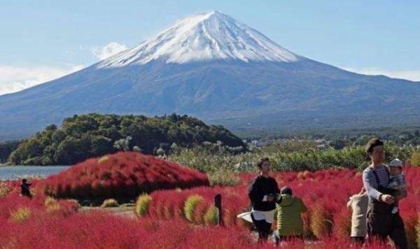Susah Payah Diselamatkan, Pendaki Ini Balik Lagi ke Gunung Fuji gegara Ponselnya Ketinggalan