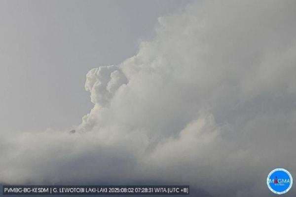 Gunung Lewotobi Erupsi Muntahkan Kolom Abu Setinggi 1 Km, Status Level IV Awas