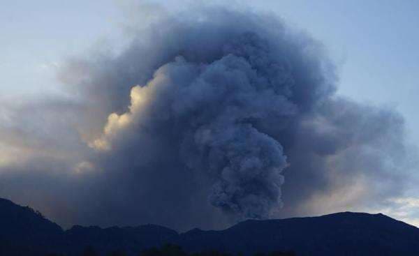 Gunung Marapi Erupsi, Hewan-Hewan Turun Gunung