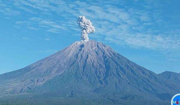 Gunung Semeru Meletus Keluarkan Abu Setinggi 1,2 Kilometer, Tercatat 36 Kali Erupsi