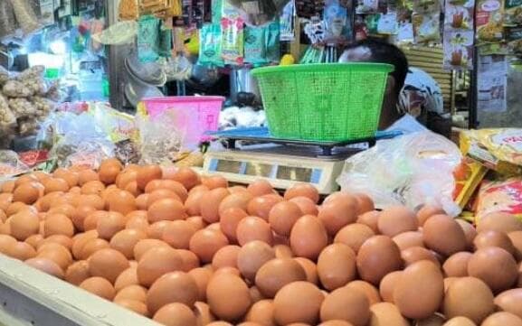 Harga Pangan Hari Ini, Telur Ayam dan Daging Sapi Naik