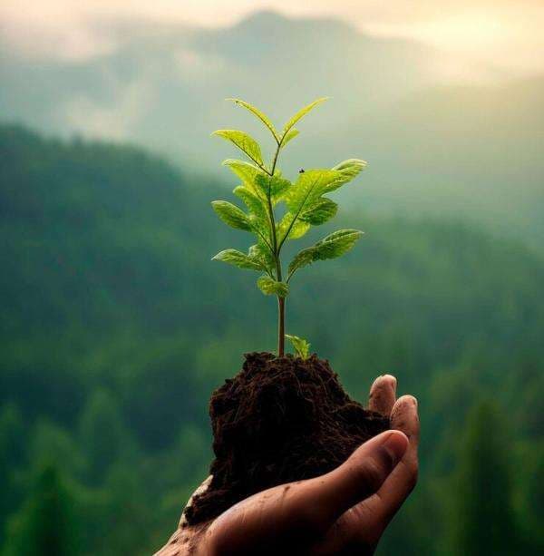 KUIS: Apa Nama Gerakan Mengurangi Plastik Sekali Pakai?