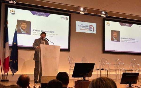 Prancis Tertarik Investasi Sektor Kelistrikan di Indonesia, dari PLTA hingga Nuklir