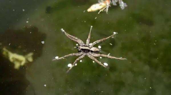 KUIS: Mengenal Istilah Sebelum Masuk Pesawat