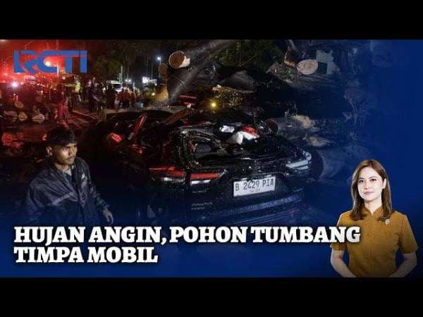 Hujan Deras dan Angin Kencang di Jakarta, Pohon Tumbang Timpa Mobil, Dua Orang Terluka