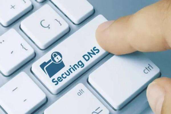 Cara Aman Mengaktifkan Secure DNS Saat Pengaturan Dikunci di Managed Browser