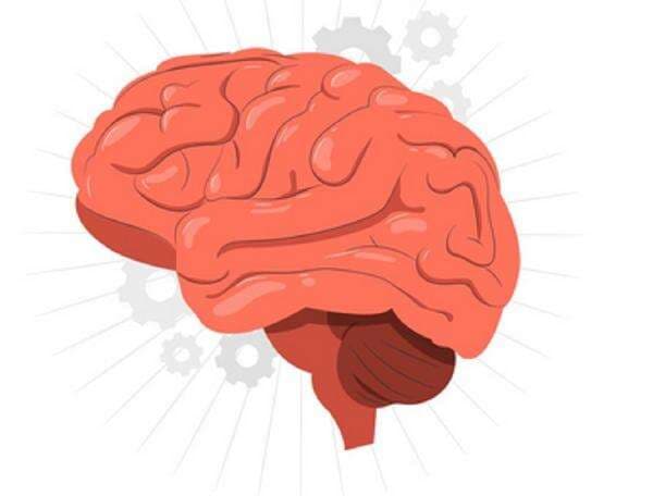 Adu Rata-rata IQ Penduduk Indonesia vs Brazil, Bak Bumi dan Langit!