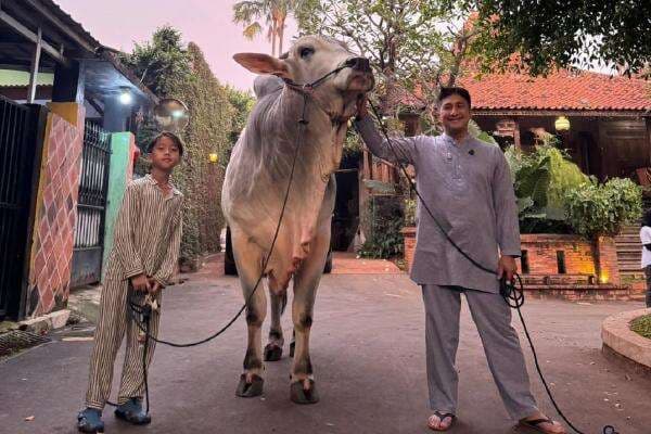 Momen Haru Irfan Hakim Kurbankan Sapi Kesayangan, Netizen Ikut Menangis