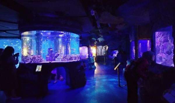 Ini Pilihan Tempat Wisata di Jakarta Barat yang Lagi Hits