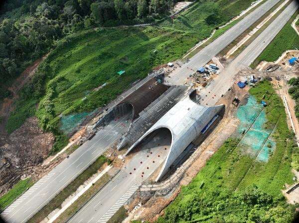 Progres Terbaru Pembangunan 2 Jembatan Satwa di Tol IKN