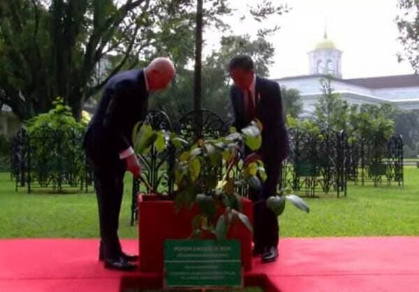  Jokowi Tanam Pohon Kayu Ulin Besi Bareng Gubernur Jenderal Australia di Istana Bogor