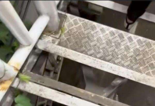 Viral! JPO Halte Transjakarta Jelambar Jakbar Bolong Diduga Dicuri OTK