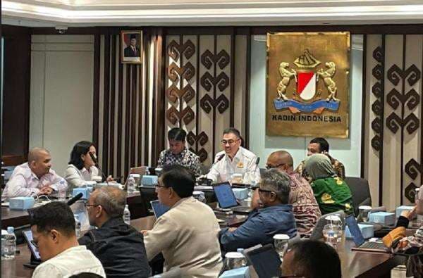 RUU Penyiaran, Kadin Dorong Harmonisasi Regulasi untuk Persaingan Sehat