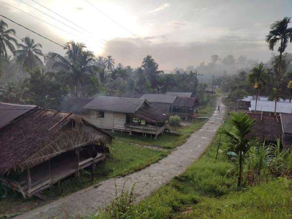 Menyelusuri Jejak Kepercayaan Kuno di Hutan Matotonan Kampung Para Pengungsi Perang Menyelusuri Jejak Kepercayaan Kuno di Hutan Matotonan Kampung Para Pengungsi Perang