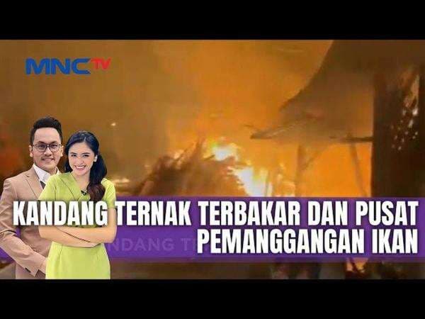 Kebakaran Hanguskan Kandang Ternak dan Pemanggang Ikan