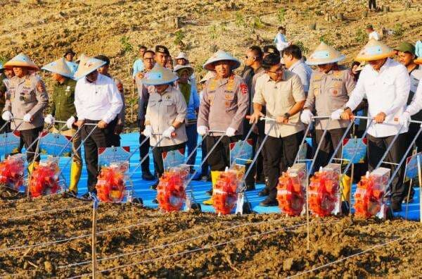 Polri Berperan Wujudkan Swasembada Jagung Nasional dan Jaga Ketahanan Pangan
