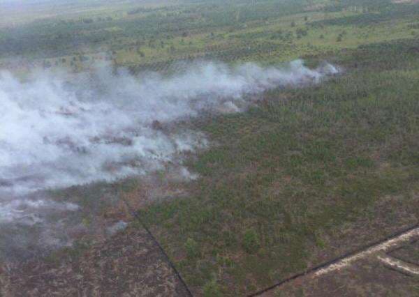 Waspada, Potensi Karhutla Meningkat Tajam hingga Awal Agustus
