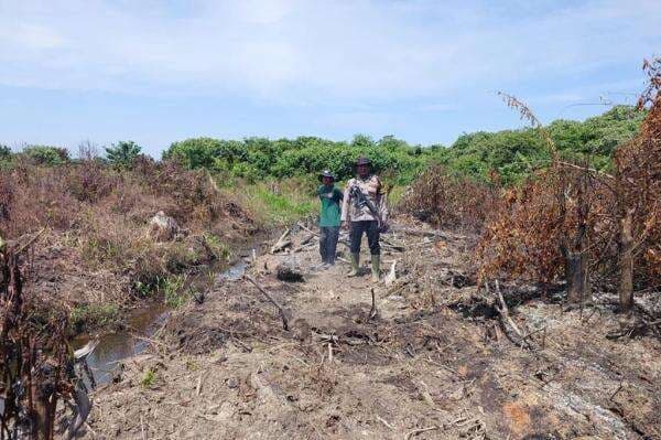 BNPB Ungkap 3 Karhutla di Aceh-Sumut, 60 Hektare Lebih Lahan Terbakar