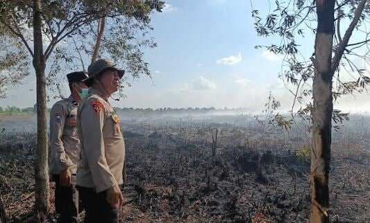 Karhutla Mulai Kepung Jambi, Lahan Gambut Seluas 50 Hektare Terbakar