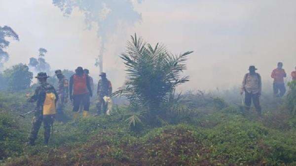 Kebakaran Hutan dan Lahan di Rohul Riau Meluas, Api Menjalar hingga 40 Hektare