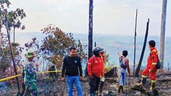 40 Hektare Hutan Lindung Bukit Suligi Terbakar, Pemadaman Terkendala Medan Ekstrem 40 Hektare Hutan Lindung Bukit Suligi Terbakar, Pemadaman Terkendala Medan Ekstrem