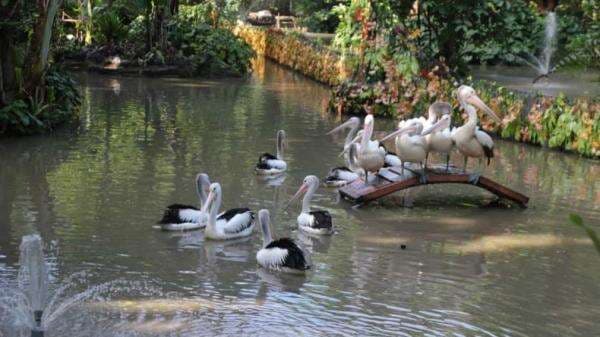 7 Tempat Wisata di Surabaya yang Lagi Hits untuk Liburan Seru dan Berkesan di Kota Pahlawan 7 Tempat Wisata di Surabaya yang Lagi Hits untuk Liburan Seru dan Berkesan di Kota Pahlawan