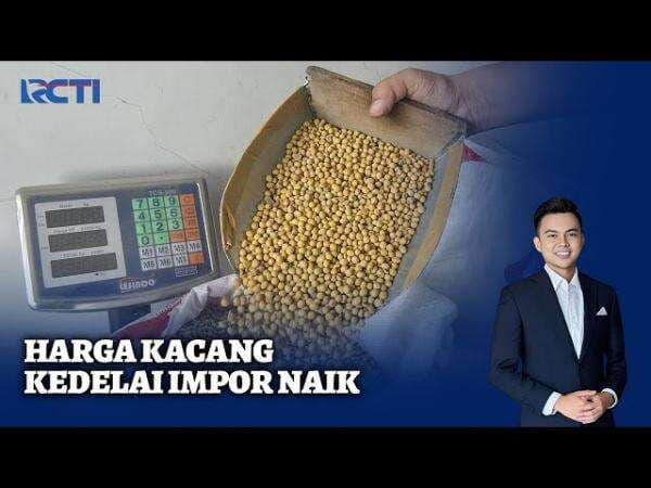 Harga Ayam Anjlok Pasca Lebaran, Peternak Bisa Rugi Rp691,2 Miliar