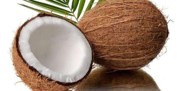 Pemerintah Siapkan Pungutan Ekspor Kelapa Bulat, Ini Sebabnya