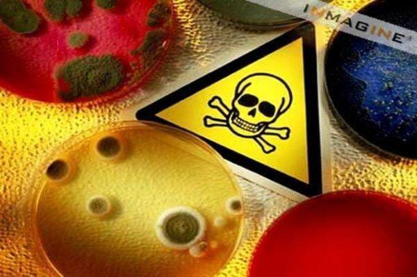 Heboh, 342 Siswa SMPN 35 Bandung Diduga Keracunan MBG Basi Heboh, 342 Siswa SMPN 35 Bandung Diduga Keracunan MBG Basi