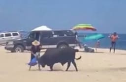 Lagi Asyik Liburan di Pantai, Wanita Ini Malah Diseruduk Banteng