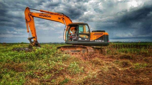 Sulap Lahan Marginal, Budidaya Serai Wangi Jadi Cuan