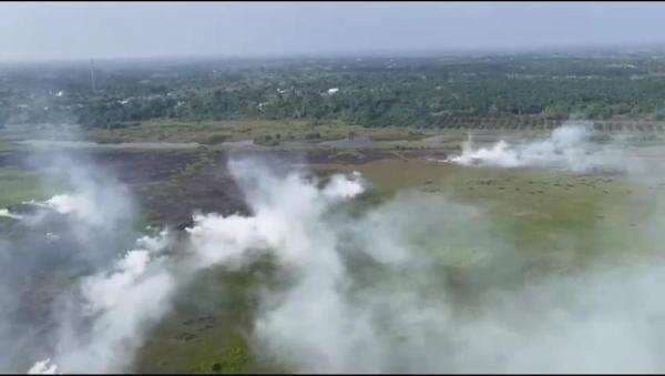 Pemilik Lahan Terbakar 181 Hektare di Jambi Akhirnya Memenuhi Pemeriksaan Polisi