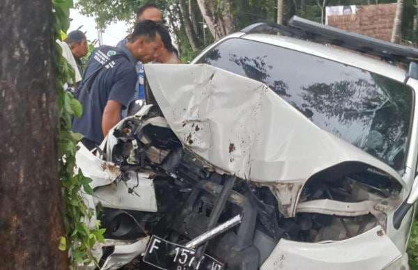 Kecelakaan Maut Toyota Rush Tabrak Pohon di Cianjur, Kades dan Istri serta Anaknya Tewas