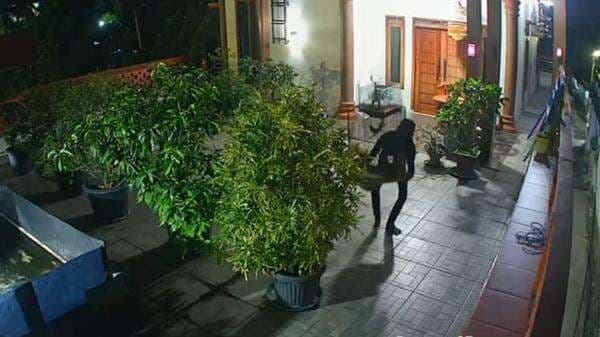 Beraksi seperti Ninja, Maling Burung Murai Milik Ketua Partai di Bengkulu Terekam CCTV Beraksi seperti Ninja, Maling Burung Murai Milik Ketua Partai di Bengkulu Terekam CCTV