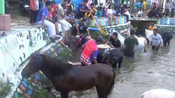 Tradisi Turun-temurun Mandikan Kuda di Sungai Kuningan, Daya Tarik Wisata Religi 1 Muharam