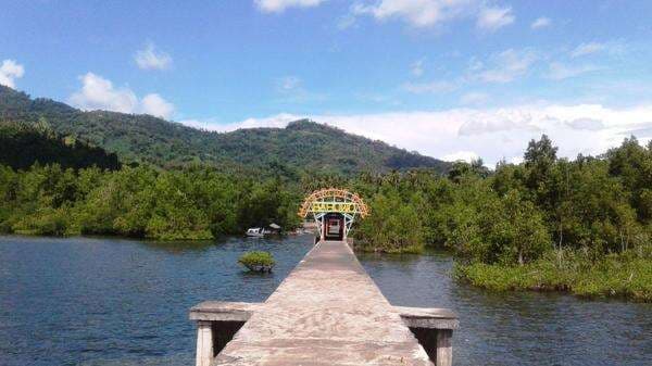 Pemerintah Sahkan PP 26/2025, Aturan Keras Baru Demi Selamatkan Lingkungan Hidup