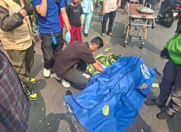Tragis, Pria Paruh Baya Tewas Tertimpa Pohon Tumbang di Kemayoran