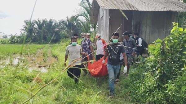 Mayat Pria Misterius Ditemukan di Gubuk Tengah Sawah Pandeglang Banten