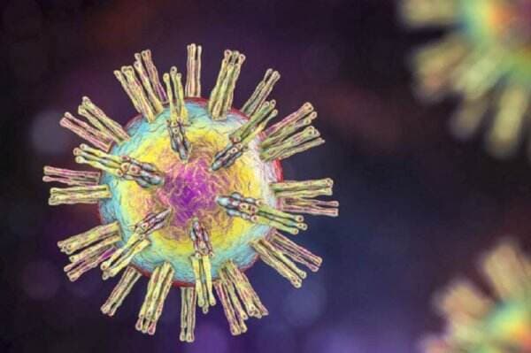 Mengenal Virus B Langka yang Ditemukan di Hong Kong, Waspadai Gejalanya