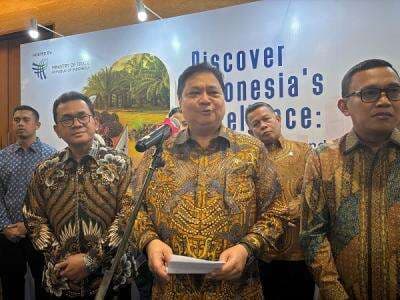 Menko Airlangga Klaim AS hingga India Belajar TKDN dari Indonesia