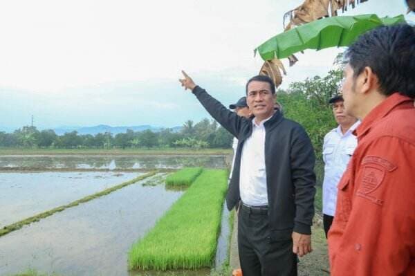 Mentan Optimis Pompanisasi Bantu Ekonomi Petani di Jawa Barat