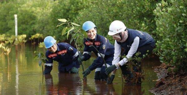 MIND ID Perkuat Integrasi Rantai Nilai Mineral Nasional untuk Dongkrak Ekonomi MIND ID Perkuat Integrasi Rantai Nilai Mineral Nasional untuk Dongkrak Ekonomi