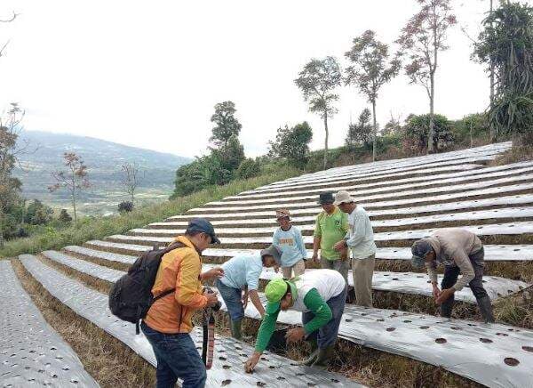 Bantuan MNC Peduli Meningkatkan Produksi Tani Pandai Sikek