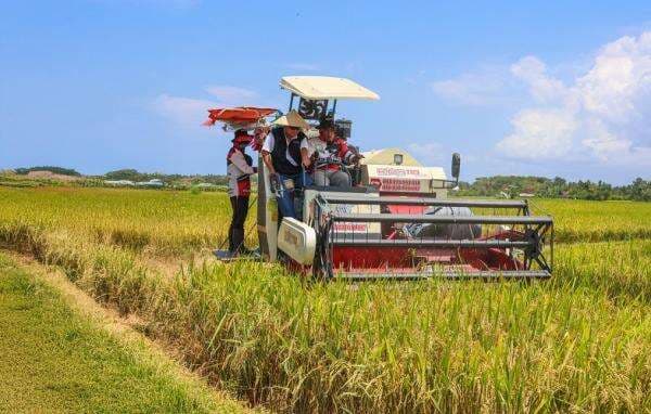 Jadwal Siaran Langsung Timnas Indonesia vs Korea Utara U-17 di Piala Asia U-17 2025 Malam Ini: Laga Wajib Menang Garuda, Live di RCTI!