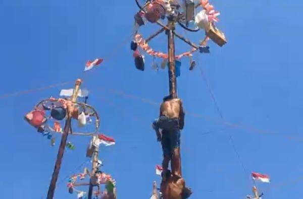 Serunya Panjat Pinang 15 Meter HUT ke-80 RI di Semarang, 14 Tim Berebut Juara