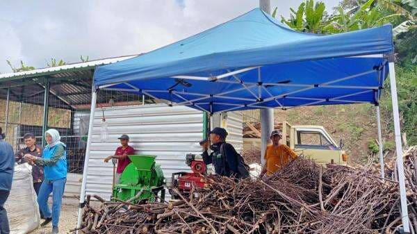 Ini Cara Kejar 3 Juta Ton Biomassa untuk PLTU 2025