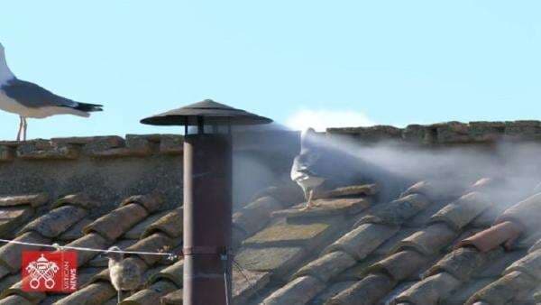 Habemus Papam! Paus Baru Terpilih