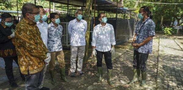 Menhut Raja Juli Cek Hewan yang Dikarantina di Pusat Penyelamatan Satwa Riau