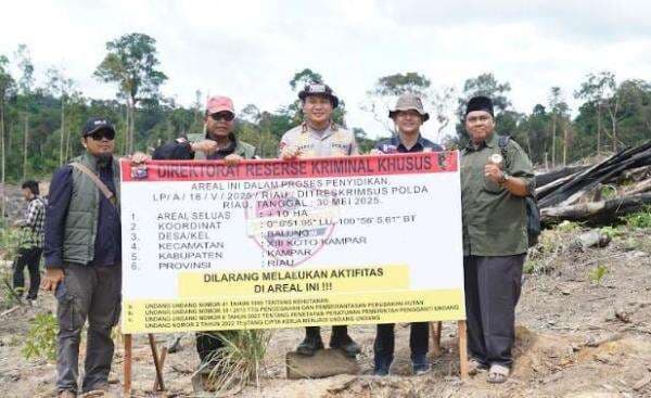 Polisi Ungkap Modus 4 Tersangka Perambah Hutan Lindung jadi Kebun Sawit di Riau Polisi Ungkap Modus 4 Tersangka Perambah Hutan Lindung jadi Kebun Sawit di Riau