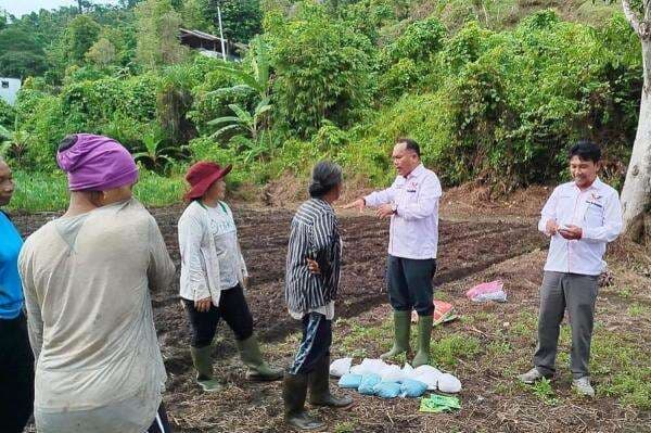 Wujudkan Ketahanan Pangan, Partai Perindo Kepulauan Mentawai Bantu Bibit dan Pupuk untuk Petani